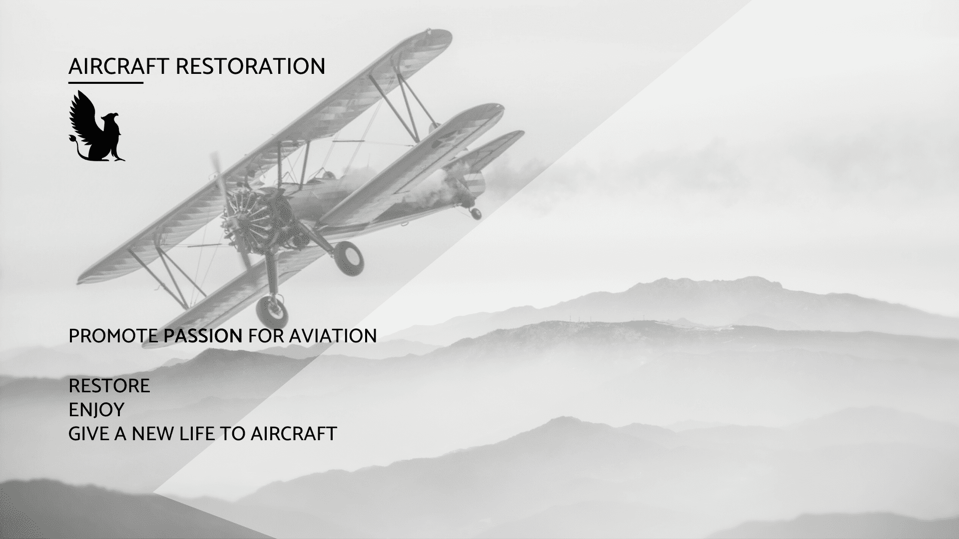 Griffon Ops _ Solutions _ Aircraft Restoration