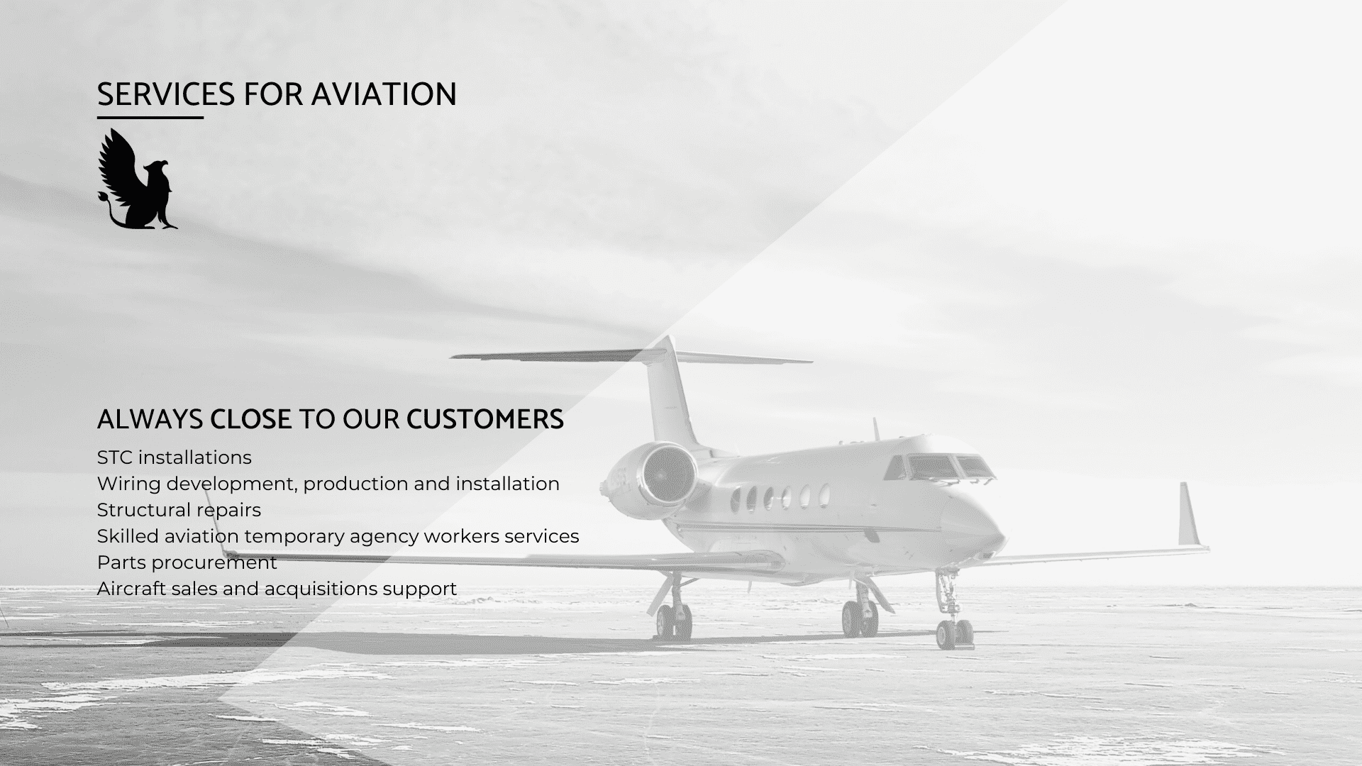 Griffon Ops _ Solutions _ Services for Aviation