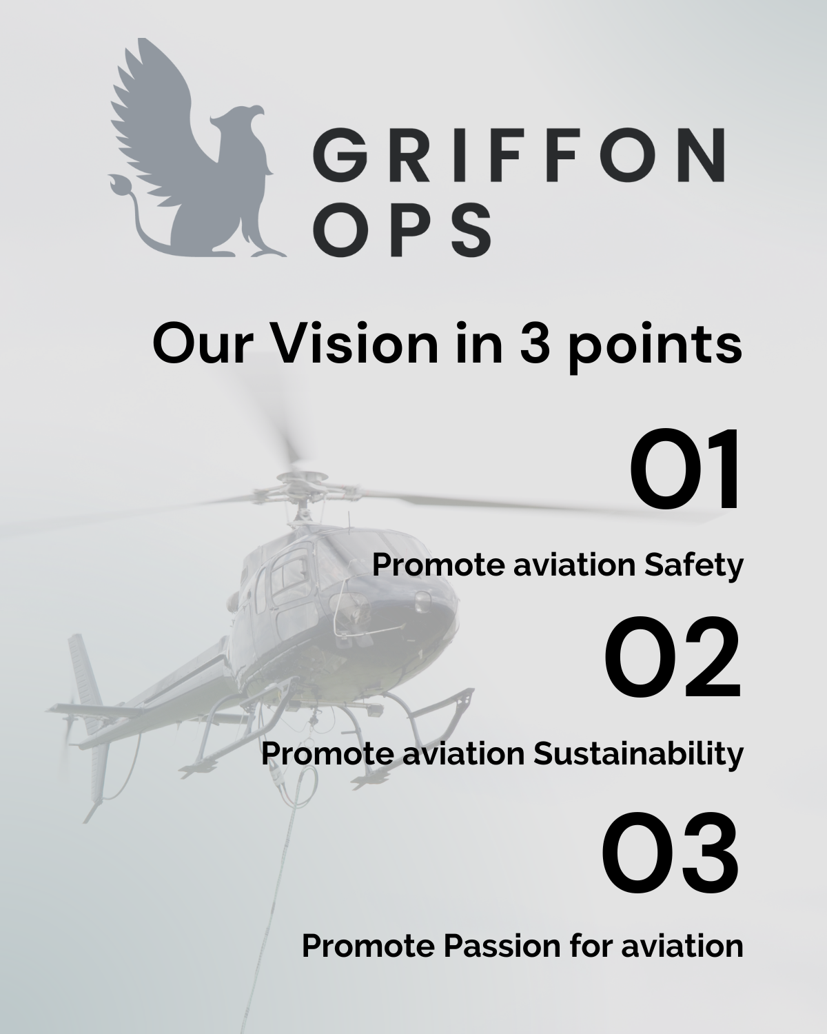 Griffon Ops - our vision in three points